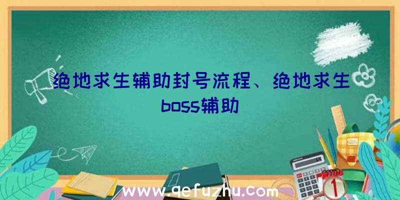 绝地求生辅助封号流程、绝地求生boss辅助