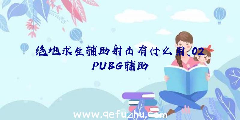 绝地求生辅助射击有什么用、02PUBG辅助