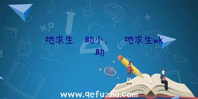 绝地求生辅助小、绝地求生wk辅助