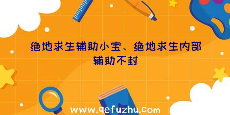 绝地求生辅助小宝、绝地求生内部辅助不封