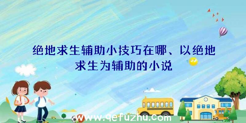 绝地求生辅助小技巧在哪、以绝地求生为辅助的小说