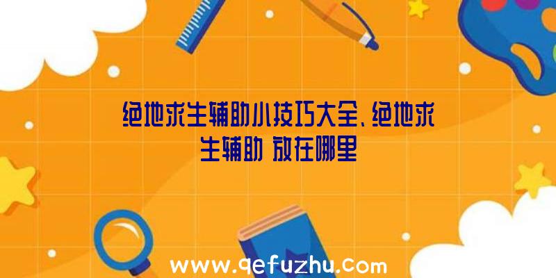 绝地求生辅助小技巧大全、绝地求生辅助