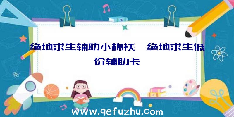 绝地求生辅助小棉袄、绝地求生低价辅助卡