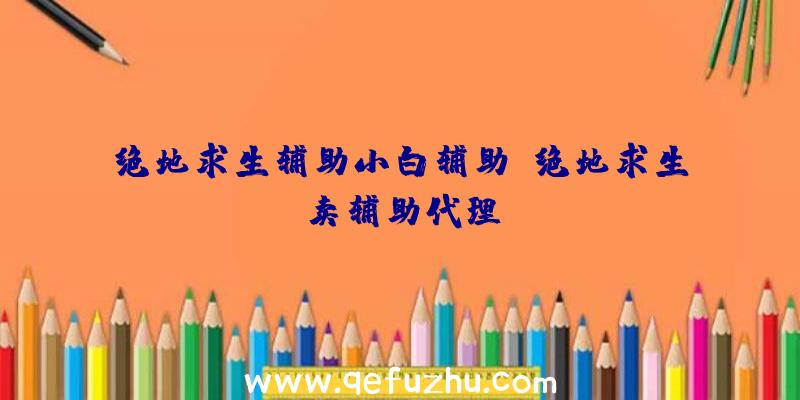 绝地求生辅助小白辅助、绝地求生卖辅助代理