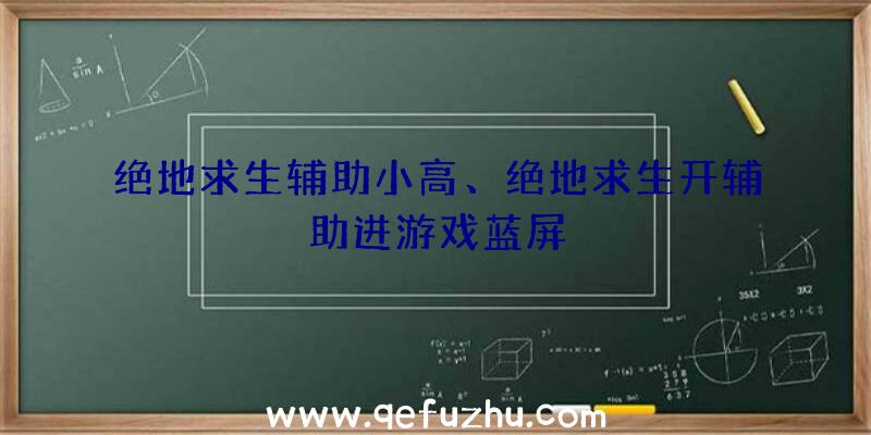 绝地求生辅助小高、绝地求生开辅助进游戏蓝屏