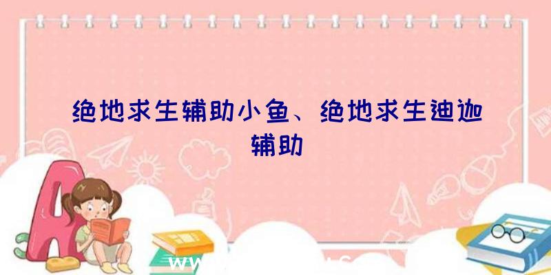 绝地求生辅助小鱼、绝地求生迪迦辅助