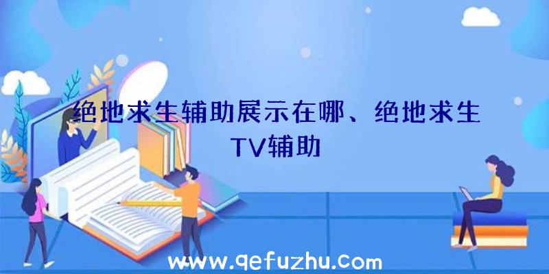 绝地求生辅助展示在哪、绝地求生TV辅助