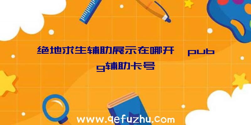 绝地求生辅助展示在哪开、pubg辅助卡号