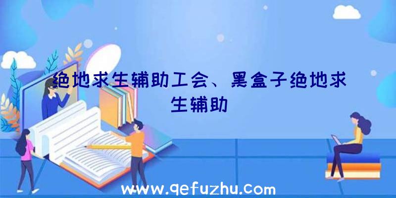 绝地求生辅助工会、黑盒子绝地求生辅助