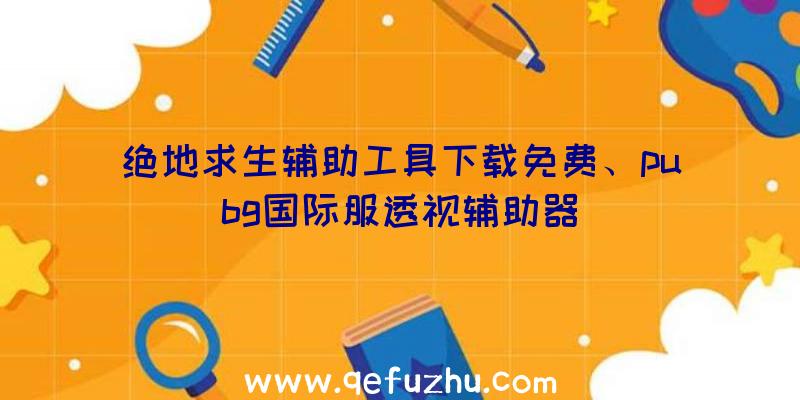 绝地求生辅助工具下载免费、pubg国际服透视辅助器