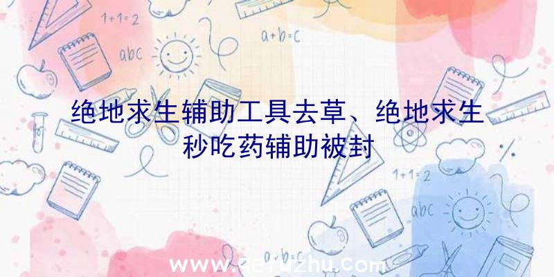 绝地求生辅助工具去草、绝地求生秒吃药辅助被封