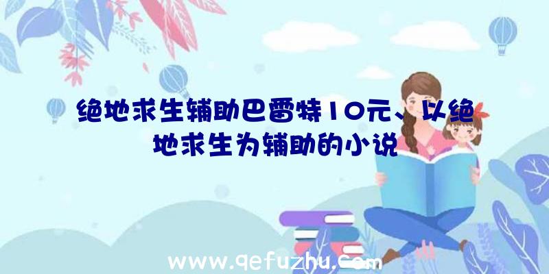 绝地求生辅助巴雷特10元、以绝地求生为辅助的小说