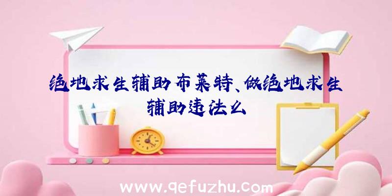 绝地求生辅助布莱特、做绝地求生辅助违法么