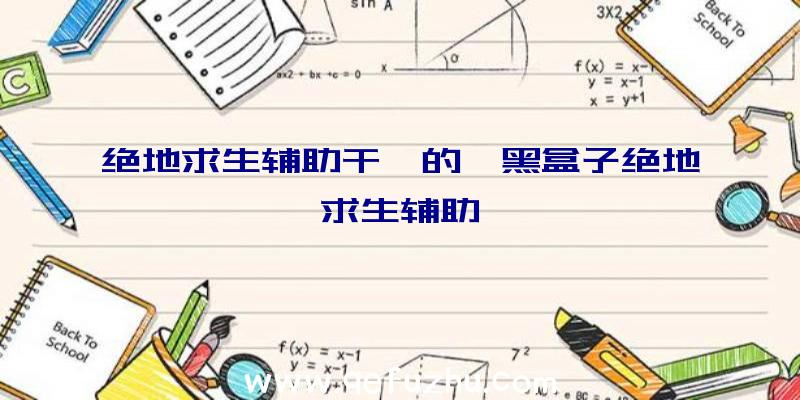 绝地求生辅助干嘛的、黑盒子绝地求生辅助