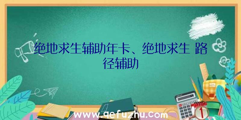 绝地求生辅助年卡、绝地求生