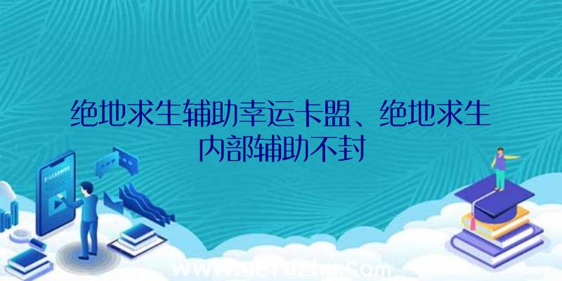 绝地求生辅助幸运卡盟、绝地求生内部辅助不封