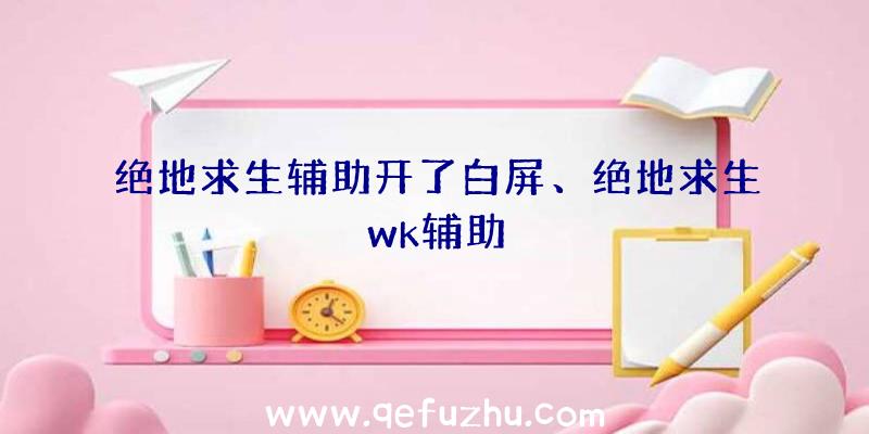 绝地求生辅助开了白屏、绝地求生wk辅助