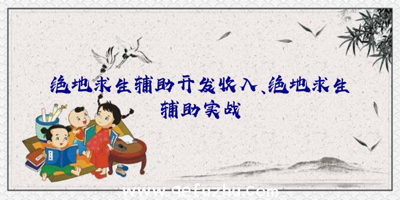 绝地求生辅助开发收入、绝地求生辅助实战