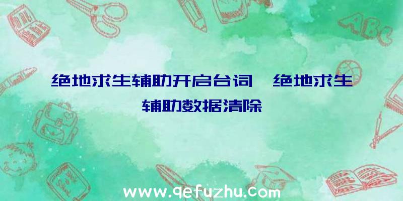 绝地求生辅助开启台词、绝地求生辅助数据清除