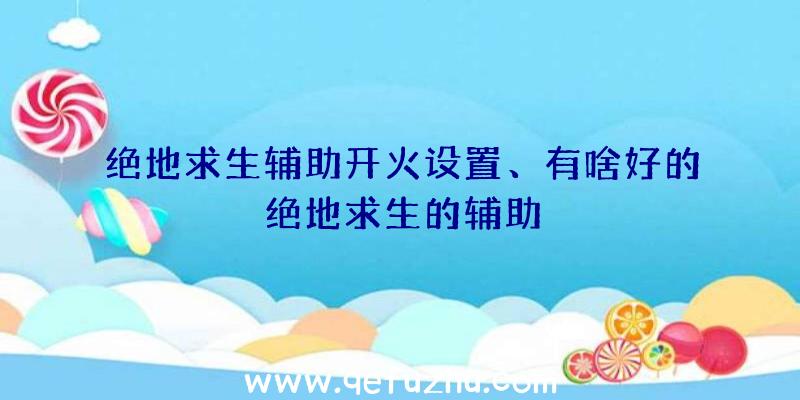 绝地求生辅助开火设置、有啥好的绝地求生的辅助