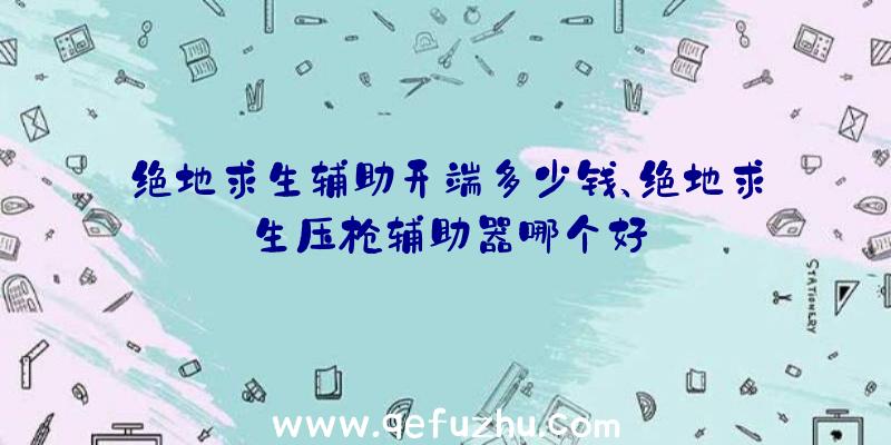 绝地求生辅助开端多少钱、绝地求生压枪辅助器哪个好