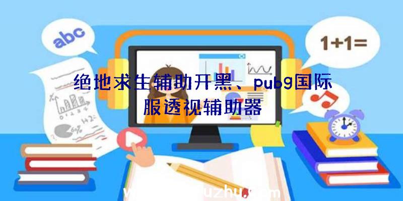 绝地求生辅助开黑、pubg国际服透视辅助器