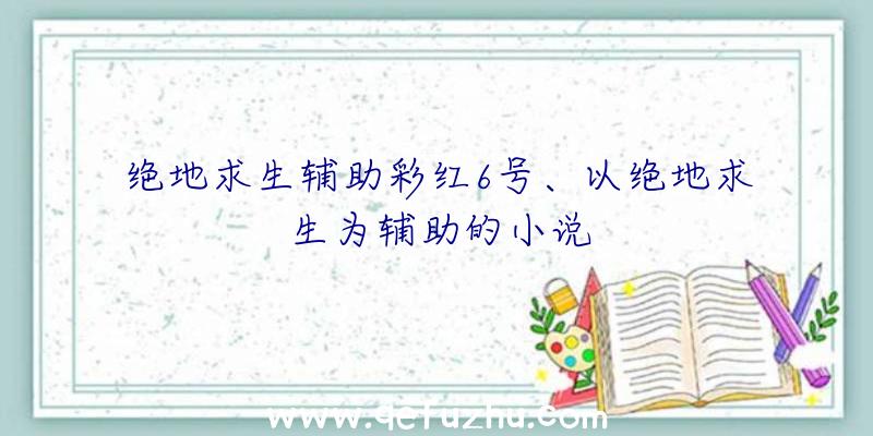 绝地求生辅助彩红6号、以绝地求生为辅助的小说