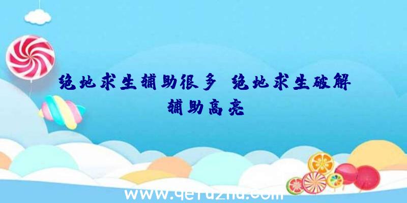 绝地求生辅助很多、绝地求生破解辅助高亮