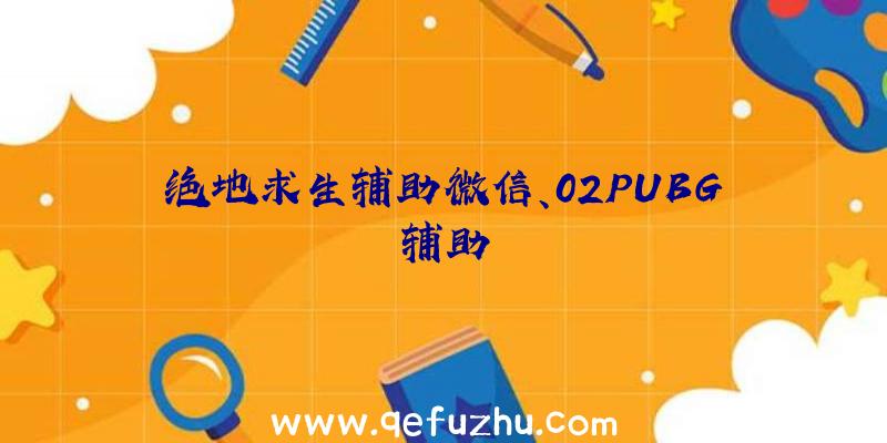 绝地求生辅助微信、02PUBG辅助