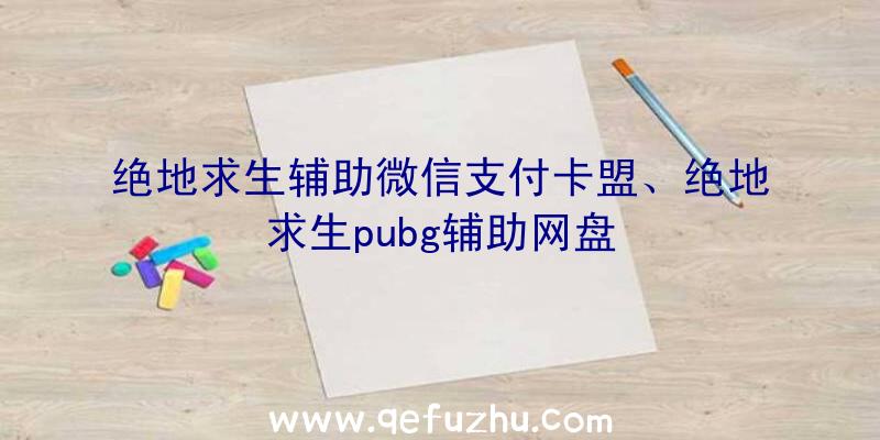 绝地求生辅助微信支付卡盟、绝地求生pubg辅助网盘