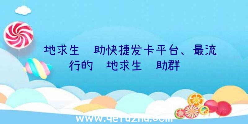 绝地求生辅助快捷发卡平台、最流行的绝地求生辅助群