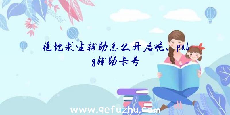 绝地求生辅助怎么开启呢、pubg辅助卡号