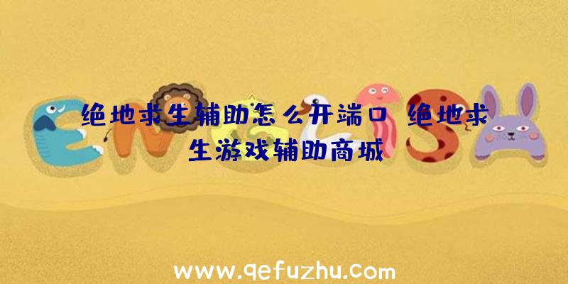 绝地求生辅助怎么开端口、绝地求生游戏辅助商城