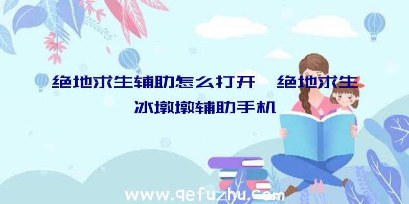 绝地求生辅助怎么打开、绝地求生冰墩墩辅助手机