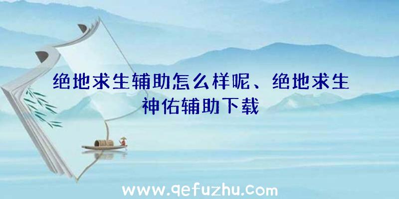 绝地求生辅助怎么样呢、绝地求生神佑辅助下载