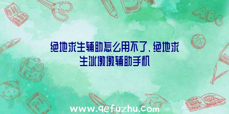 绝地求生辅助怎么用不了、绝地求生冰墩墩辅助手机