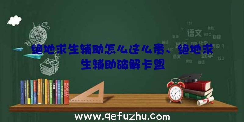 绝地求生辅助怎么这么贵、绝地求生辅助破解卡盟