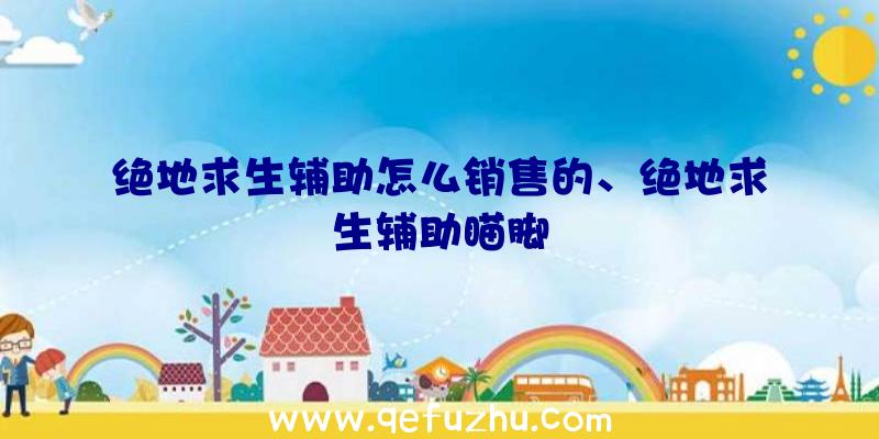 绝地求生辅助怎么销售的、绝地求生辅助瞄脚