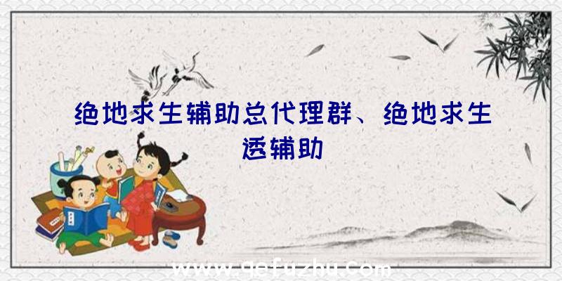 绝地求生辅助总代理群、绝地求生透辅助