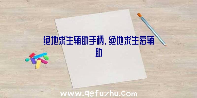 绝地求生辅助手柄、绝地求生宏辅助