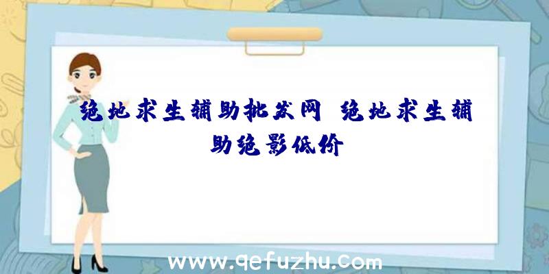 绝地求生辅助批发网、绝地求生辅助绝影低价