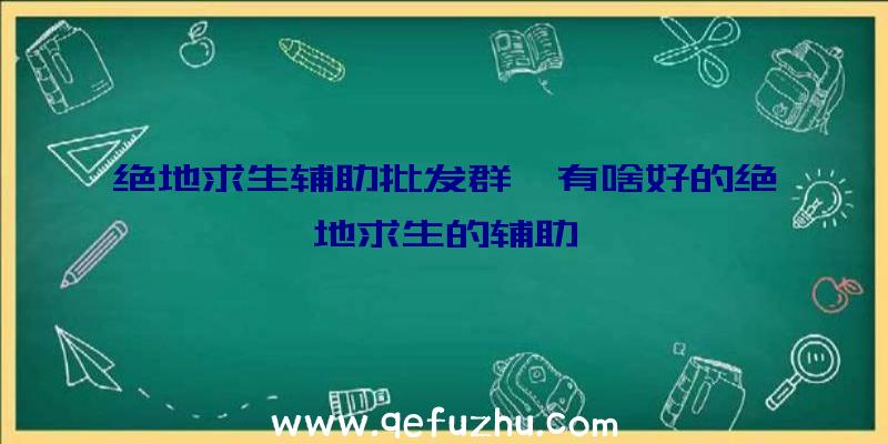 绝地求生辅助批发群、有啥好的绝地求生的辅助