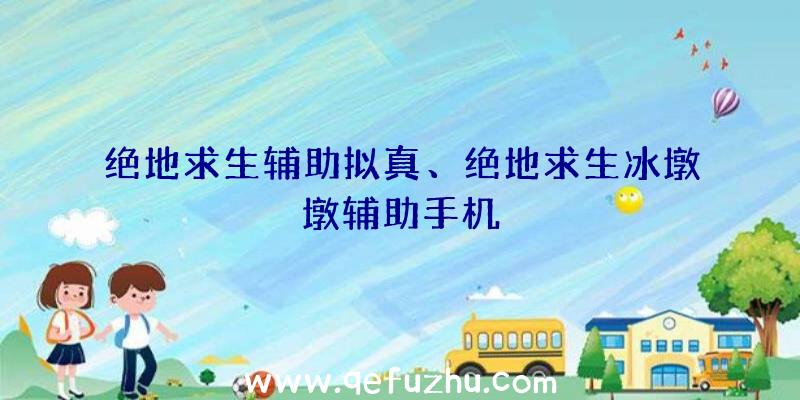 绝地求生辅助拟真、绝地求生冰墩墩辅助手机