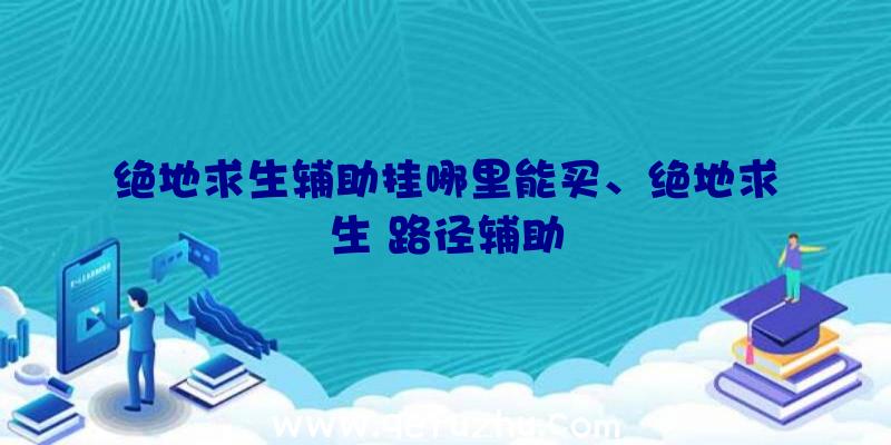 绝地求生辅助挂哪里能买、绝地求生