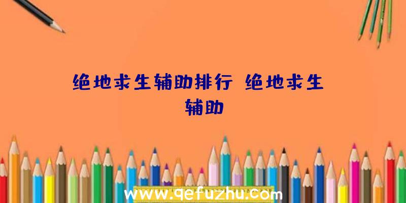 绝地求生辅助排行、绝地求生wk辅助