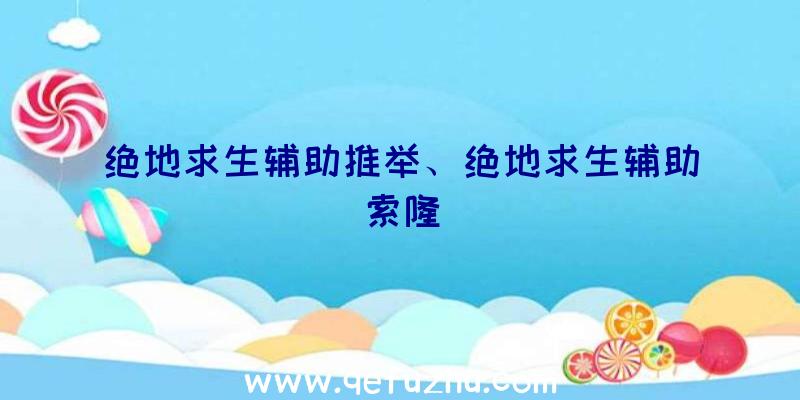 绝地求生辅助推举、绝地求生辅助索隆