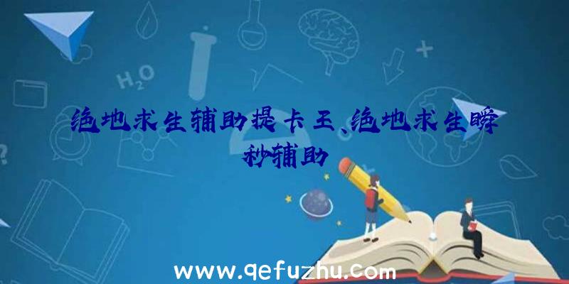 绝地求生辅助提卡王、绝地求生瞬秒辅助