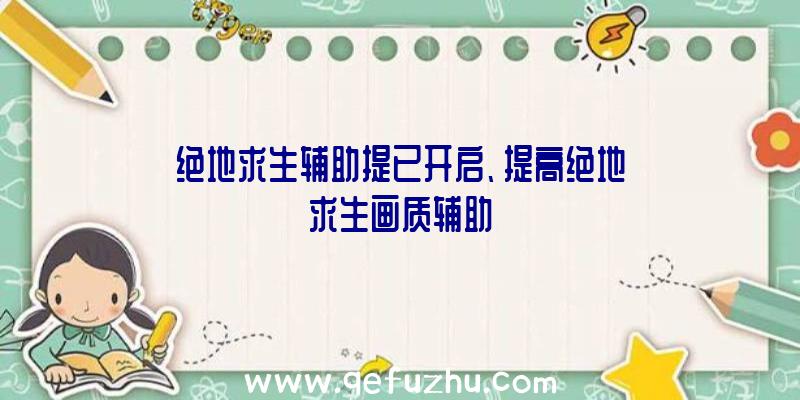 绝地求生辅助提已开启、提高绝地求生画质辅助