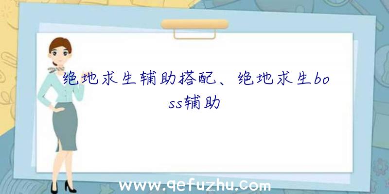 绝地求生辅助搭配、绝地求生boss辅助