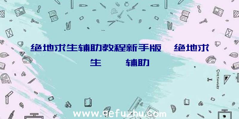 绝地求生辅助教程新手版、绝地求生迪迦辅助